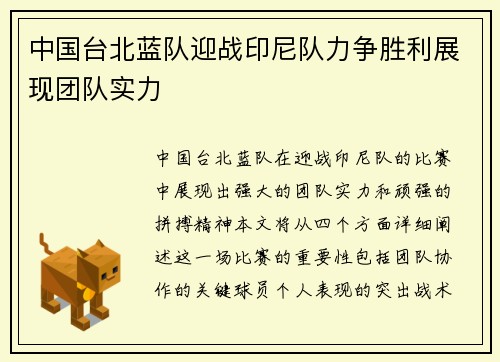 中国台北蓝队迎战印尼队力争胜利展现团队实力