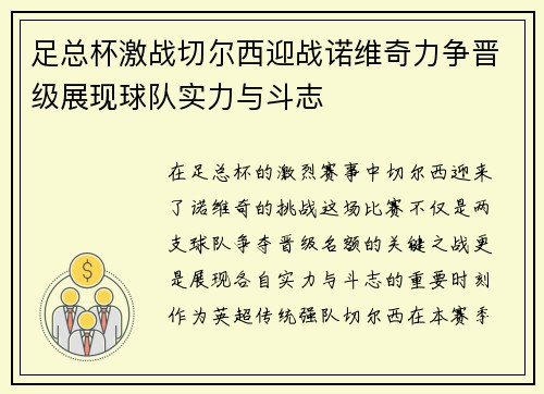 足总杯激战切尔西迎战诺维奇力争晋级展现球队实力与斗志