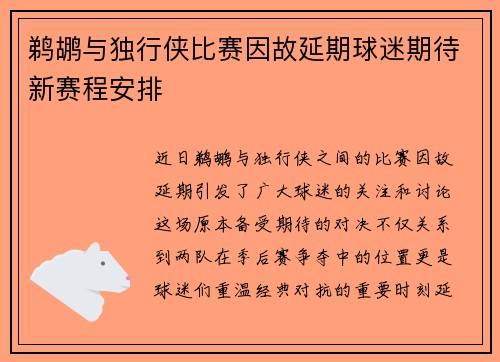 鹈鹕与独行侠比赛因故延期球迷期待新赛程安排